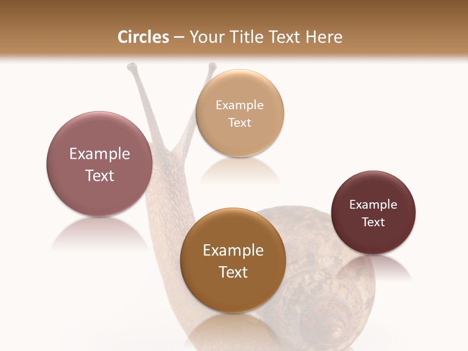 Closeup Sticky Wonderful PowerPoint Template