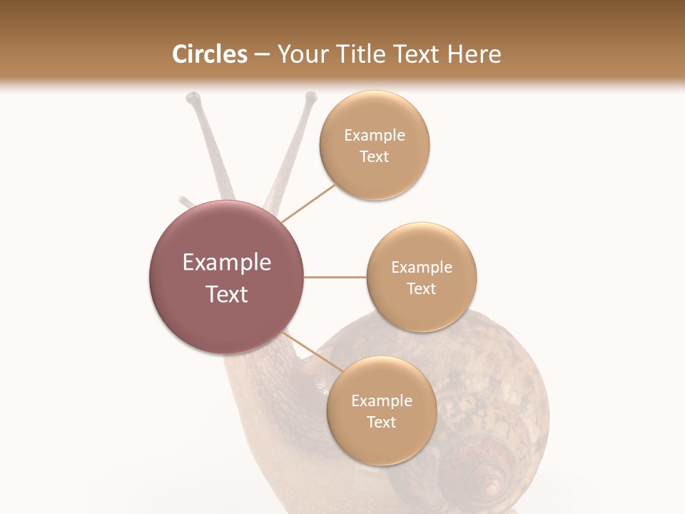 Closeup Sticky Wonderful PowerPoint Template