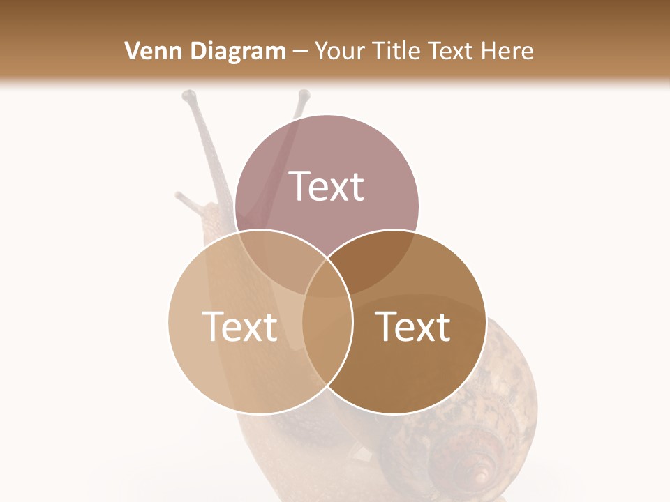 Closeup Sticky Wonderful PowerPoint Template