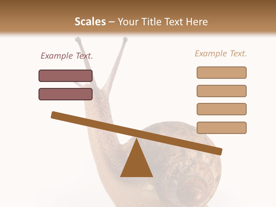 Closeup Sticky Wonderful PowerPoint Template