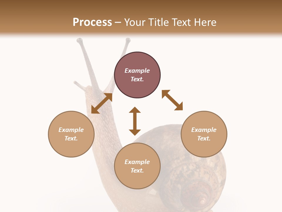 Closeup Sticky Wonderful PowerPoint Template