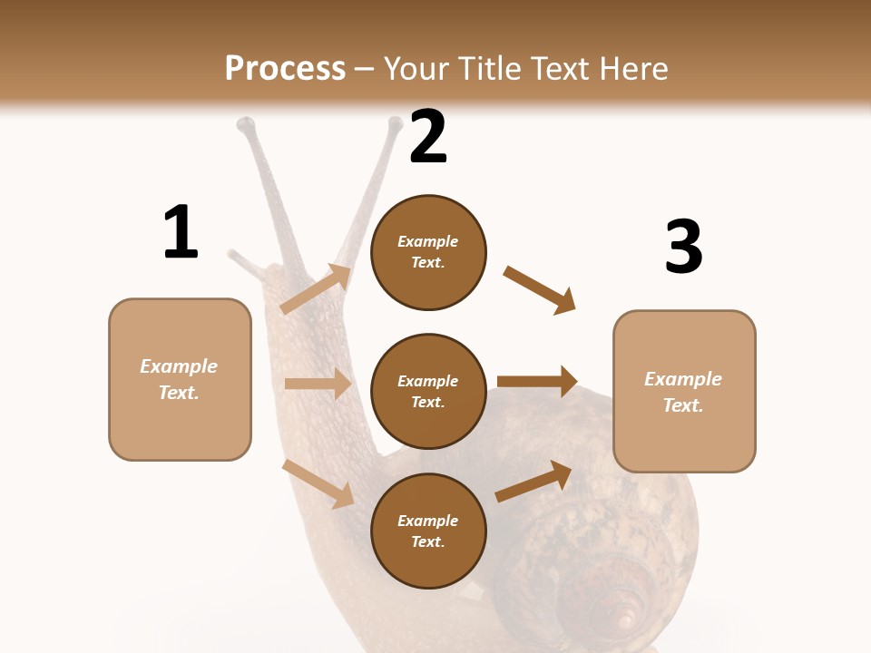 Closeup Sticky Wonderful PowerPoint Template