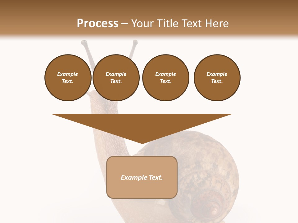 Closeup Sticky Wonderful PowerPoint Template