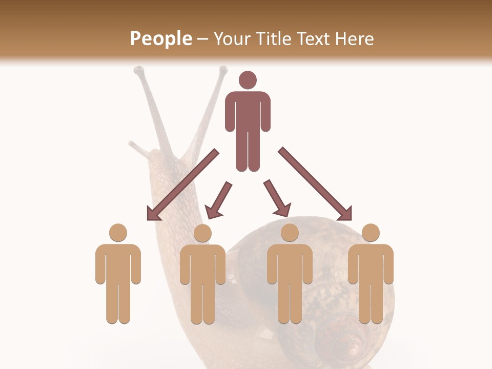 Closeup Sticky Wonderful PowerPoint Template