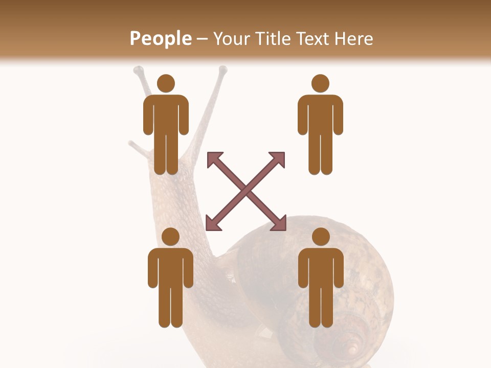 Closeup Sticky Wonderful PowerPoint Template