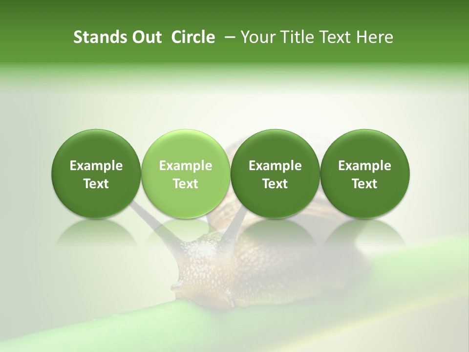 Danger Toxic Snake PowerPoint Template