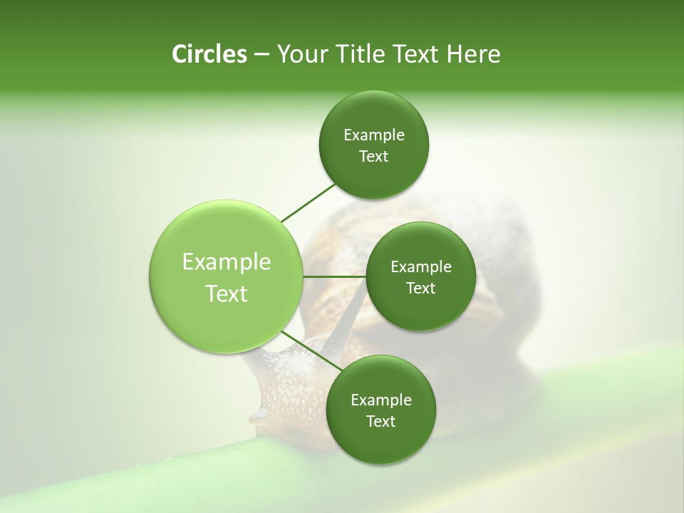 Danger Toxic Snake PowerPoint Template