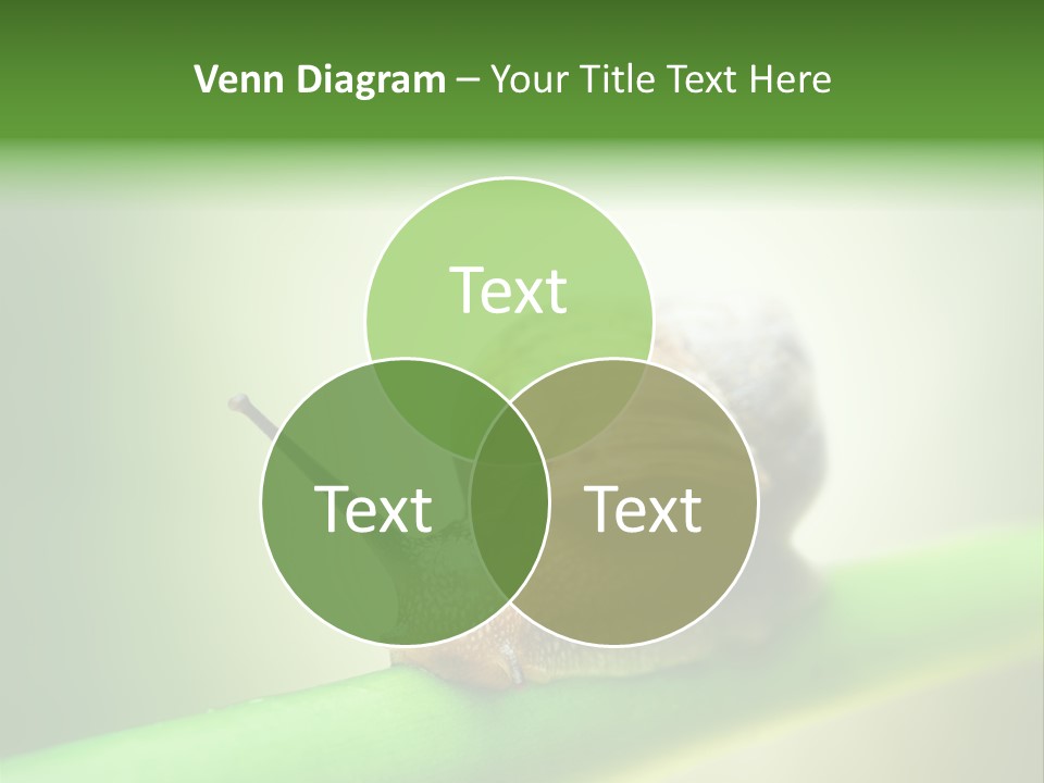 Danger Toxic Snake PowerPoint Template