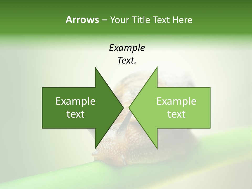 Danger Toxic Snake PowerPoint Template
