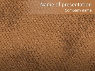 Wasser Snake Braun PowerPoint Template