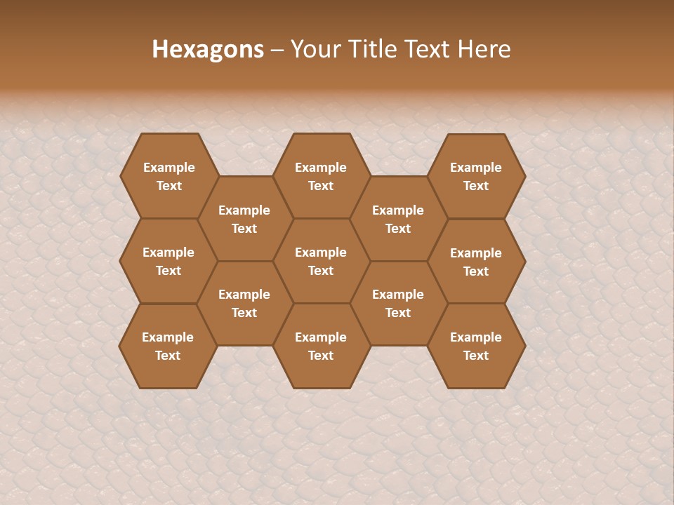 Wasser Snake Braun PowerPoint Template