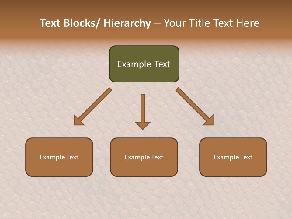 Wasser Snake Braun PowerPoint Template