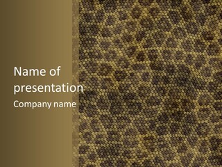 Skin Serpent Rattlesnake PowerPoint Template