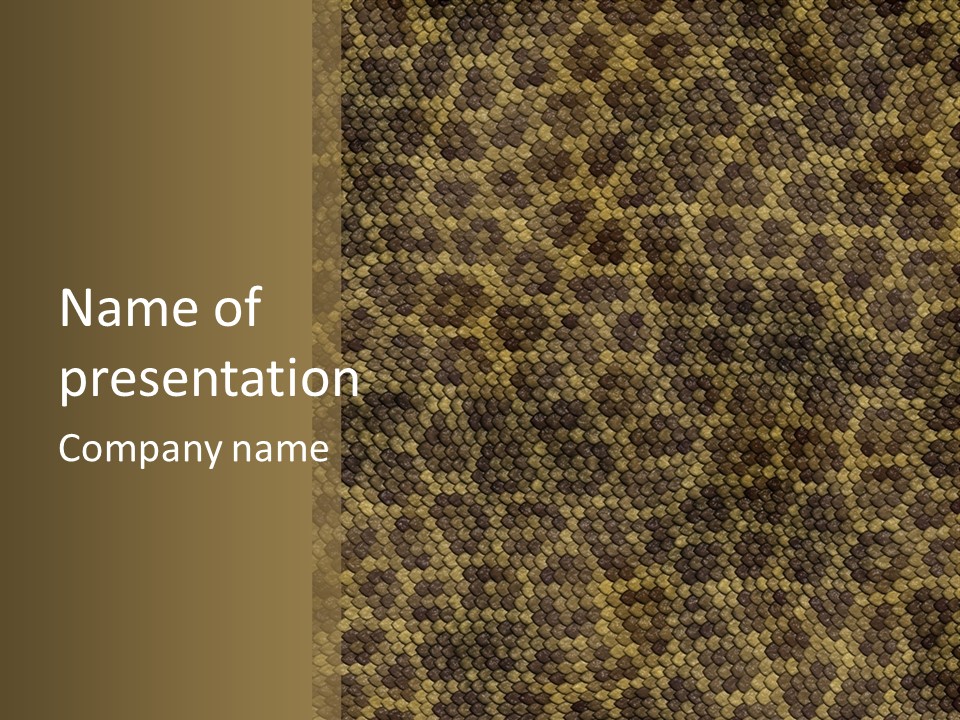 Skin Serpent Rattlesnake PowerPoint Template