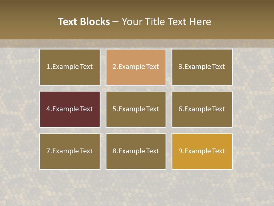 Skin Serpent Rattlesnake PowerPoint Template