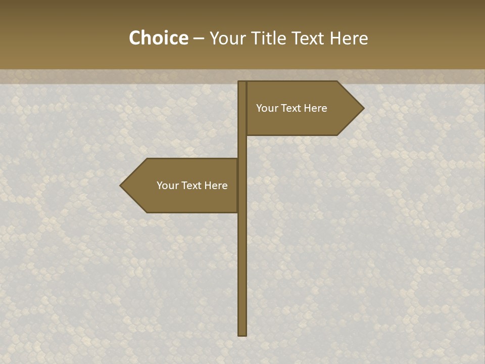 Skin Serpent Rattlesnake PowerPoint Template