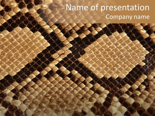 Brown Snake Leather PowerPoint Template