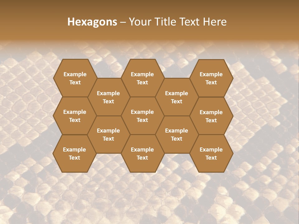 Brown Snake Leather PowerPoint Template