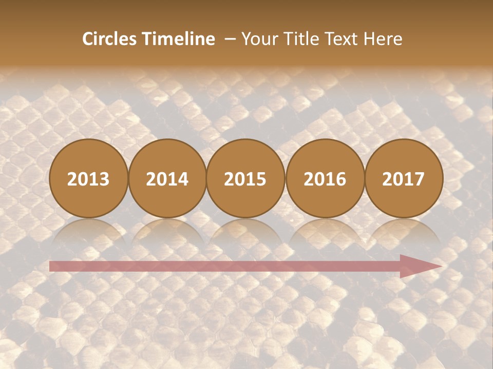 Brown Snake Leather PowerPoint Template