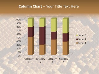 Brown Snake Leather PowerPoint Template