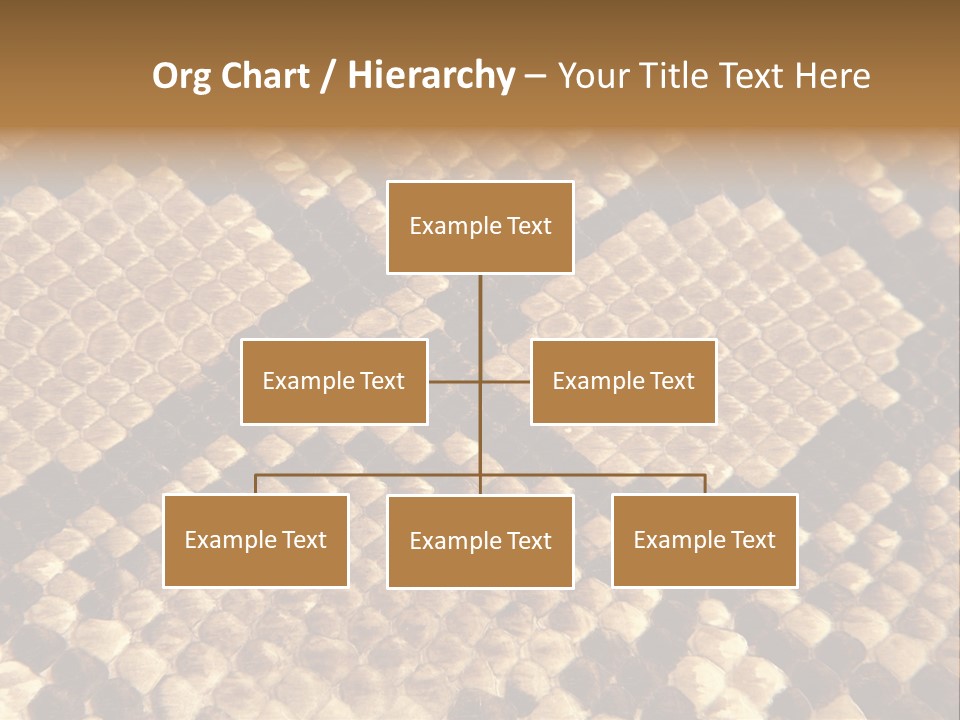 Brown Snake Leather PowerPoint Template