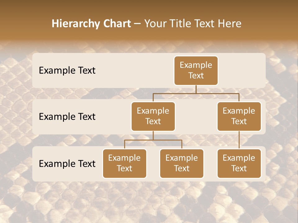 Brown Snake Leather PowerPoint Template