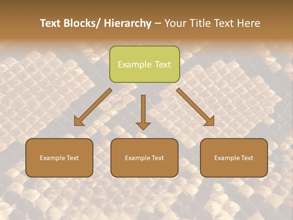 Brown Snake Leather PowerPoint Template