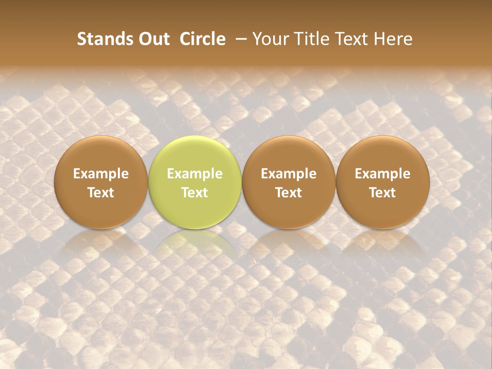Brown Snake Leather PowerPoint Template