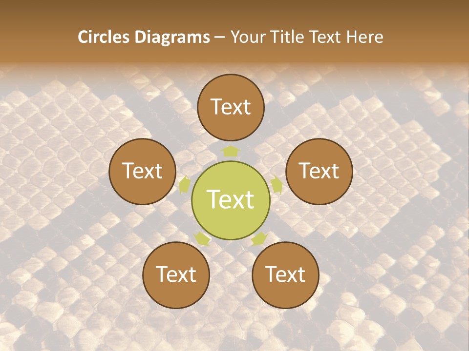Brown Snake Leather PowerPoint Template