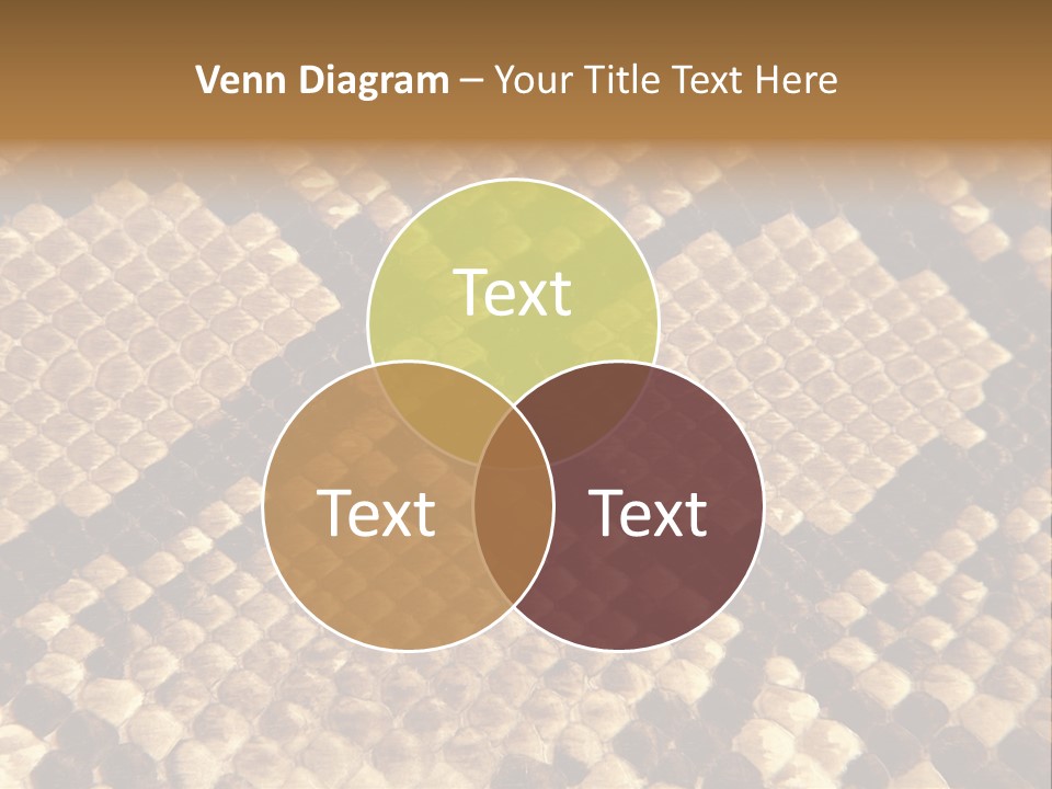 Brown Snake Leather PowerPoint Template
