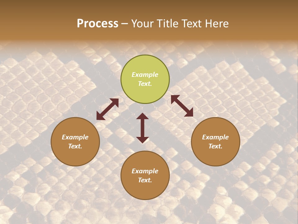 Brown Snake Leather PowerPoint Template