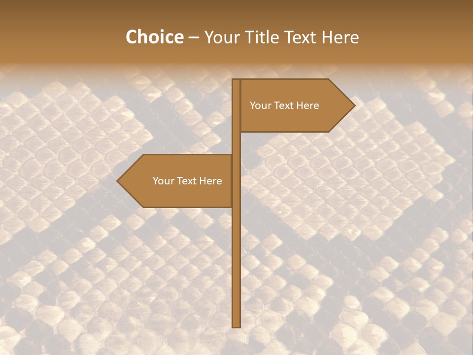 Brown Snake Leather PowerPoint Template