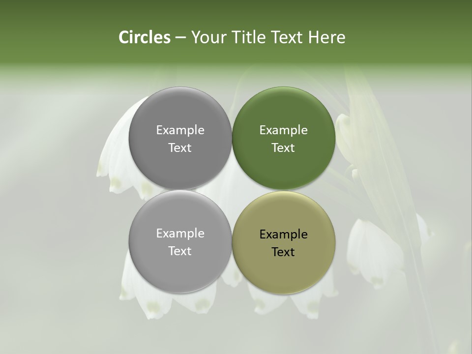 Pflanze Weiss Winter PowerPoint Template