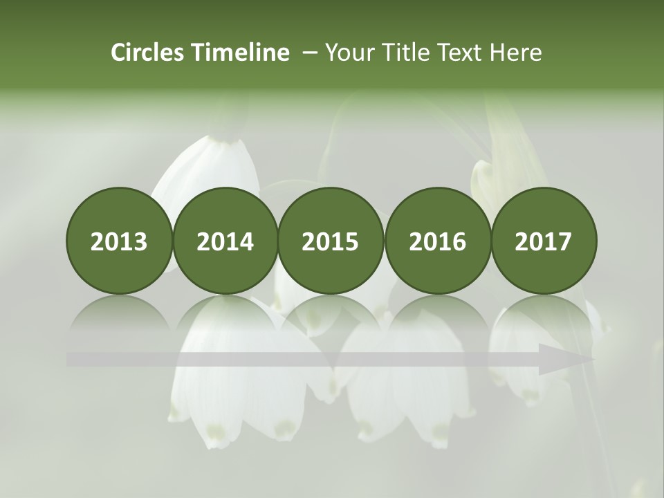 Pflanze Weiss Winter PowerPoint Template