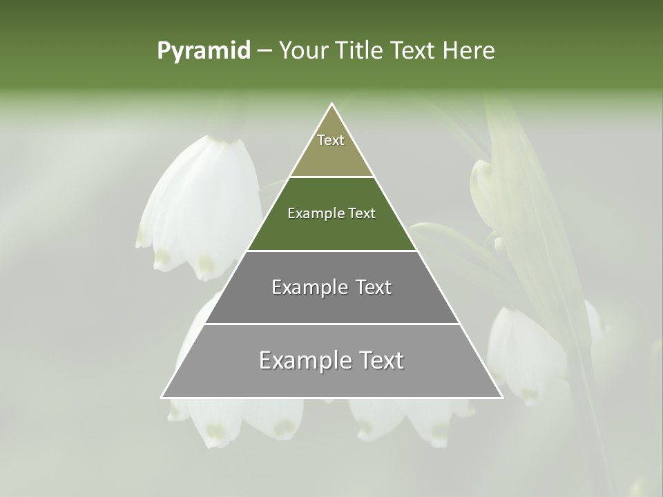 Pflanze Weiss Winter PowerPoint Template