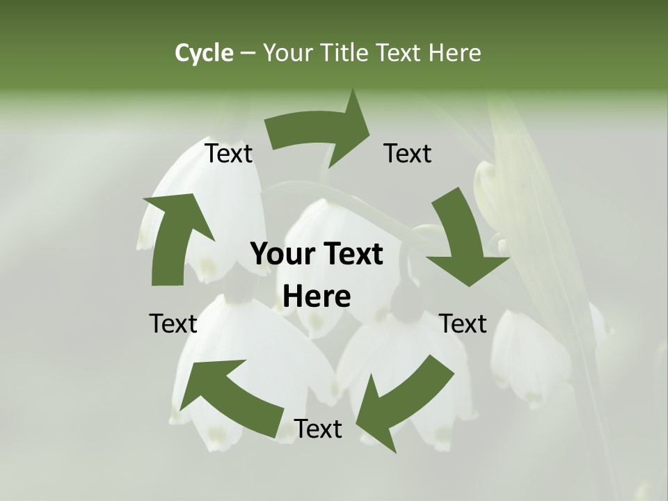 Pflanze Weiss Winter PowerPoint Template