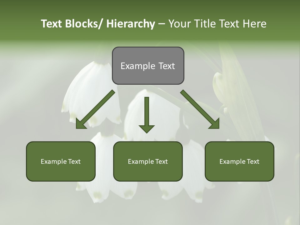 Pflanze Weiss Winter PowerPoint Template