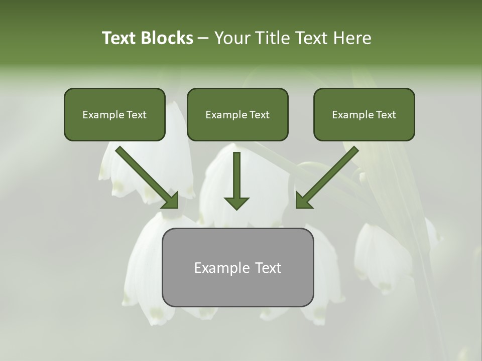 Pflanze Weiss Winter PowerPoint Template