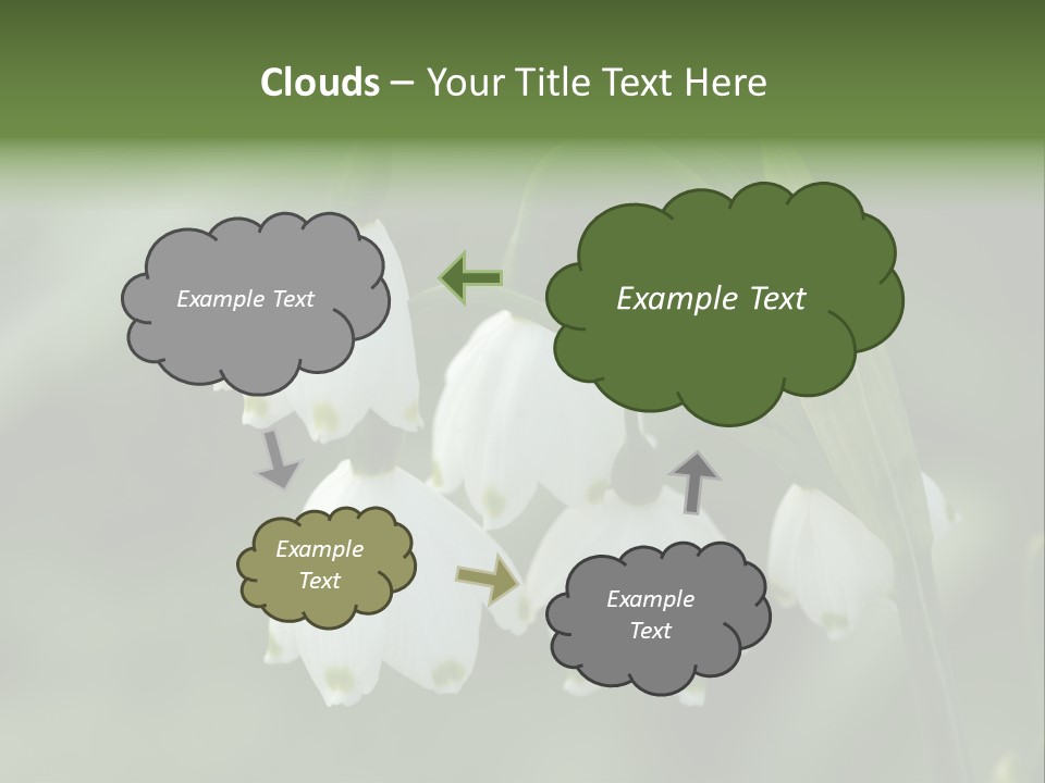 Pflanze Weiss Winter PowerPoint Template