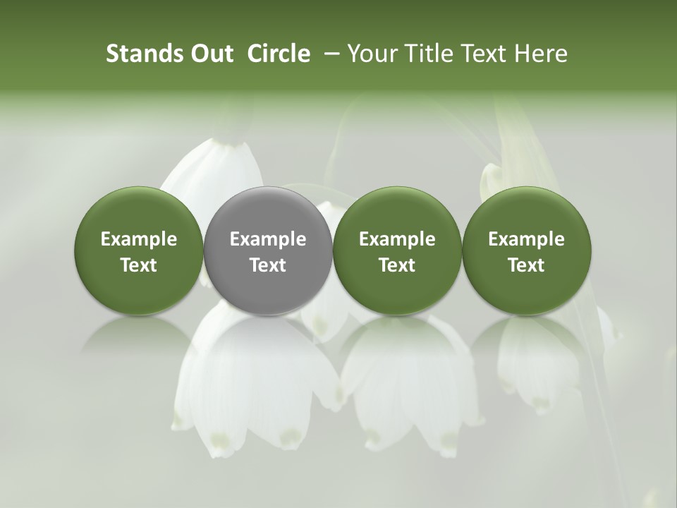 Pflanze Weiss Winter PowerPoint Template