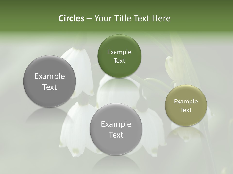 Pflanze Weiss Winter PowerPoint Template