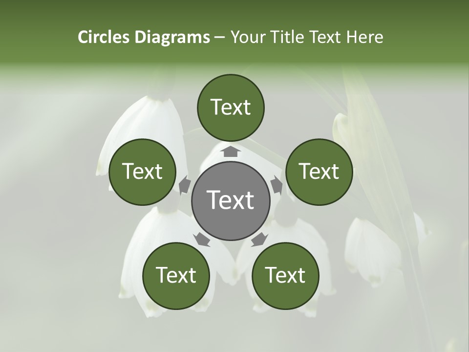 Pflanze Weiss Winter PowerPoint Template