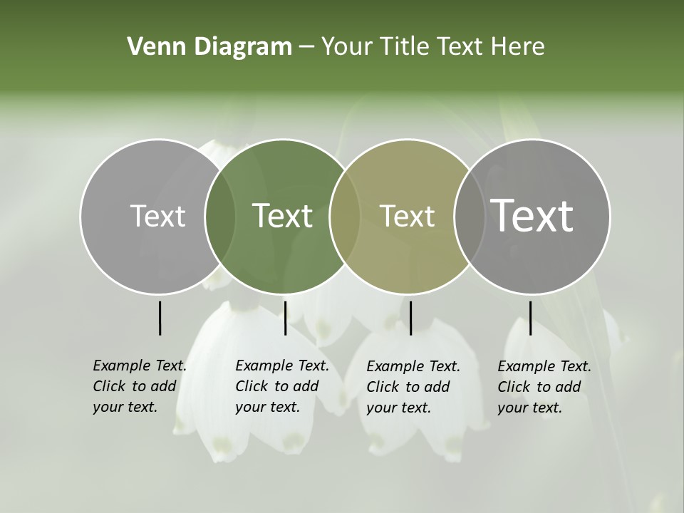 Pflanze Weiss Winter PowerPoint Template