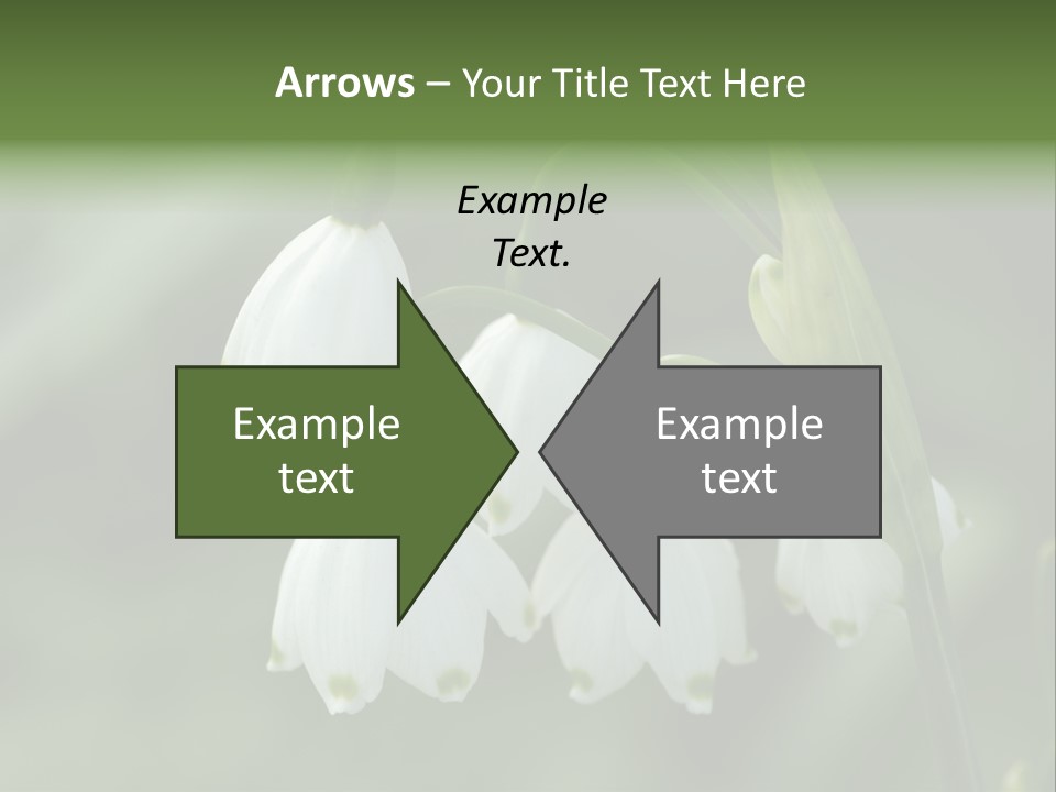 Pflanze Weiss Winter PowerPoint Template