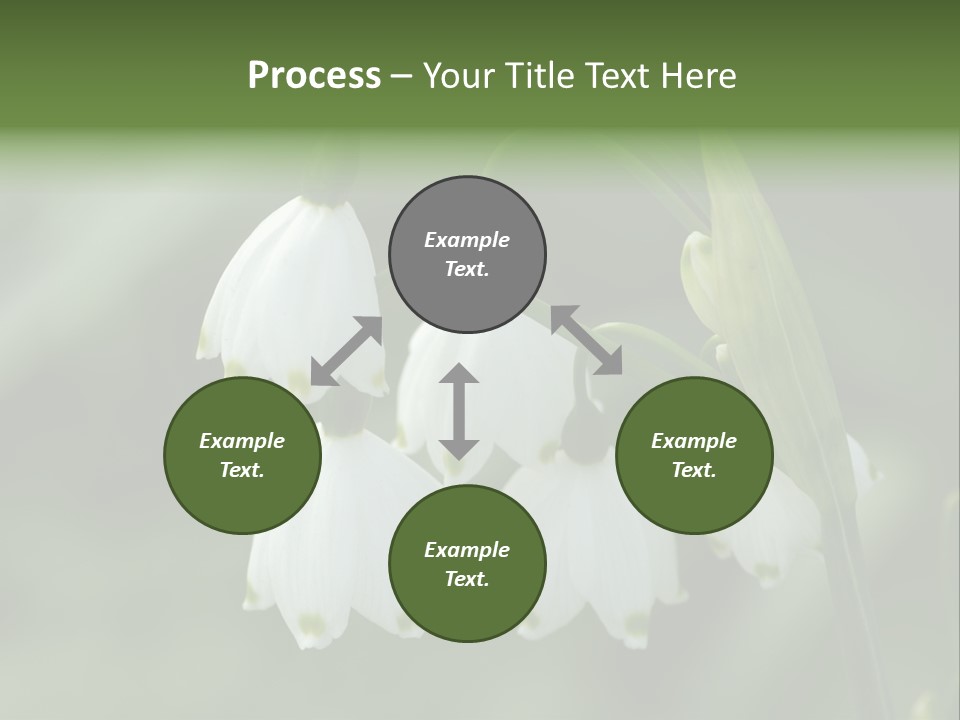 Pflanze Weiss Winter PowerPoint Template