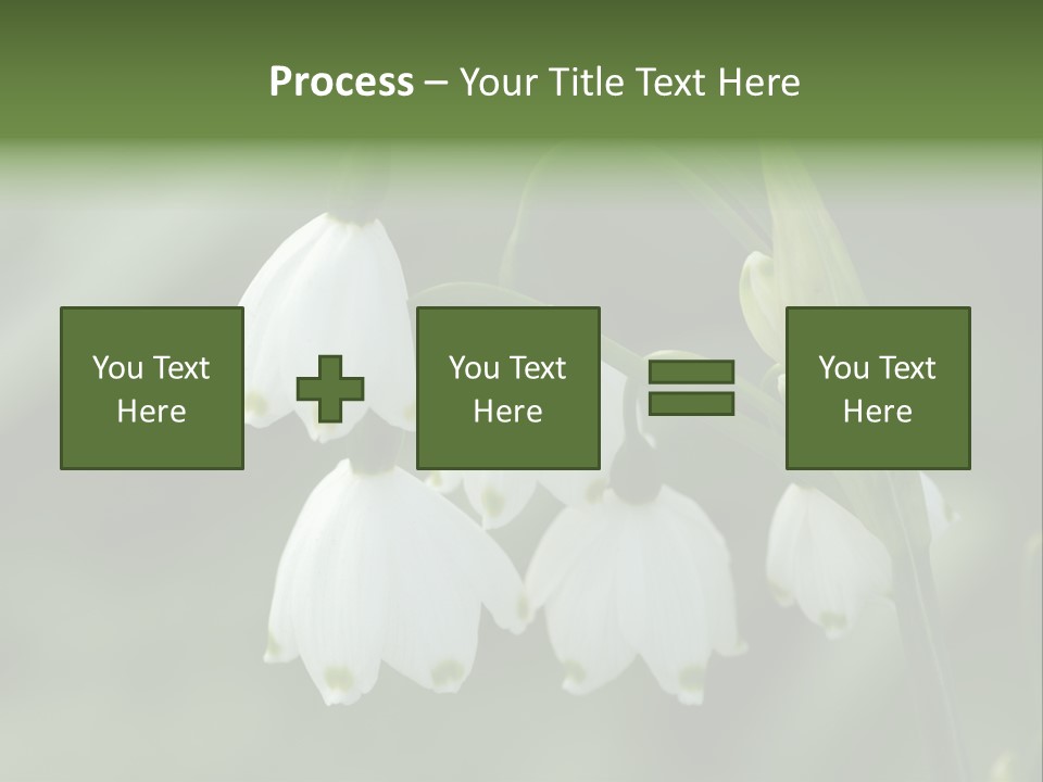 Pflanze Weiss Winter PowerPoint Template