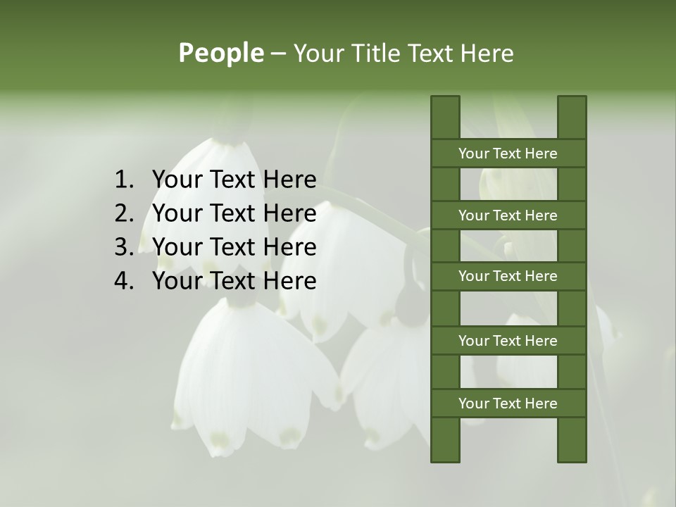 Pflanze Weiss Winter PowerPoint Template