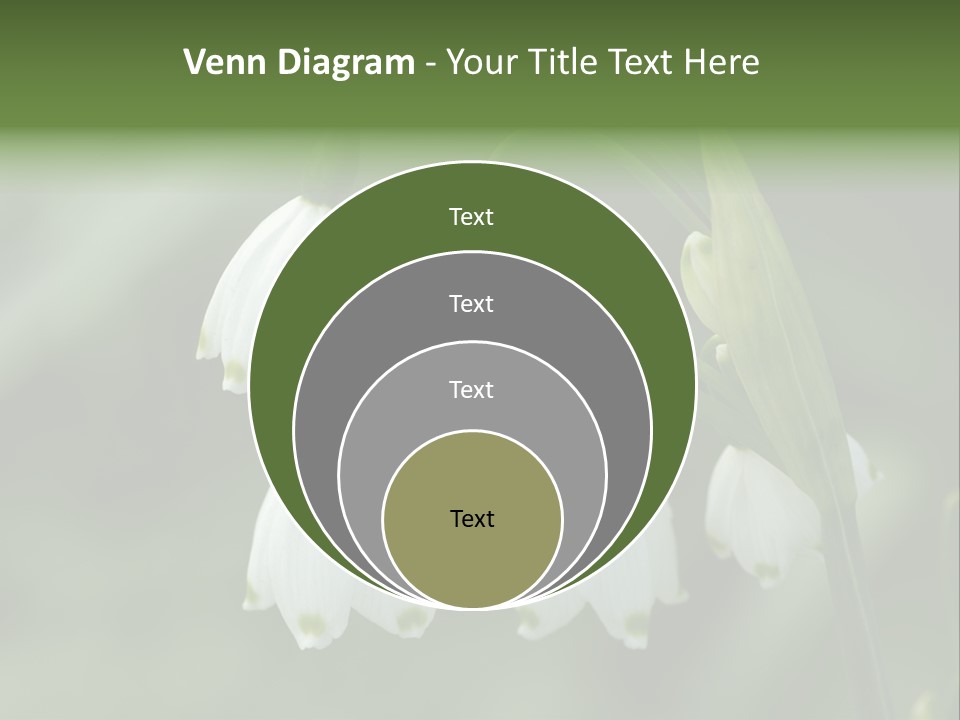 Pflanze Weiss Winter PowerPoint Template