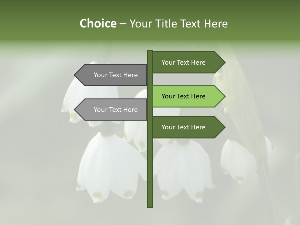 Pflanze Weiss Winter PowerPoint Template