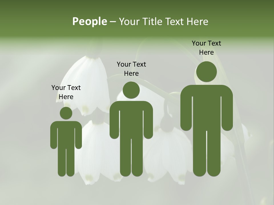 Pflanze Weiss Winter PowerPoint Template